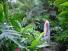 10garden2.jpg